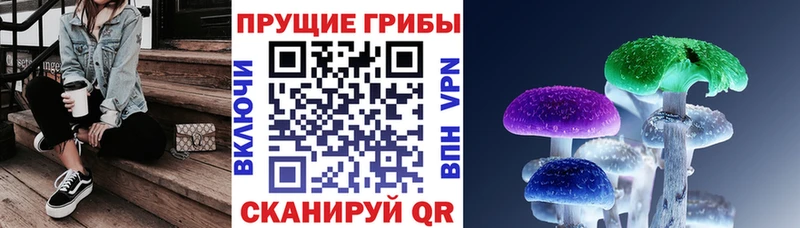 даркнет сайт  ОМГ ОМГ зеркало  Галлюциногенные грибы GOLDEN TEACHER  Камень-на-Оби 