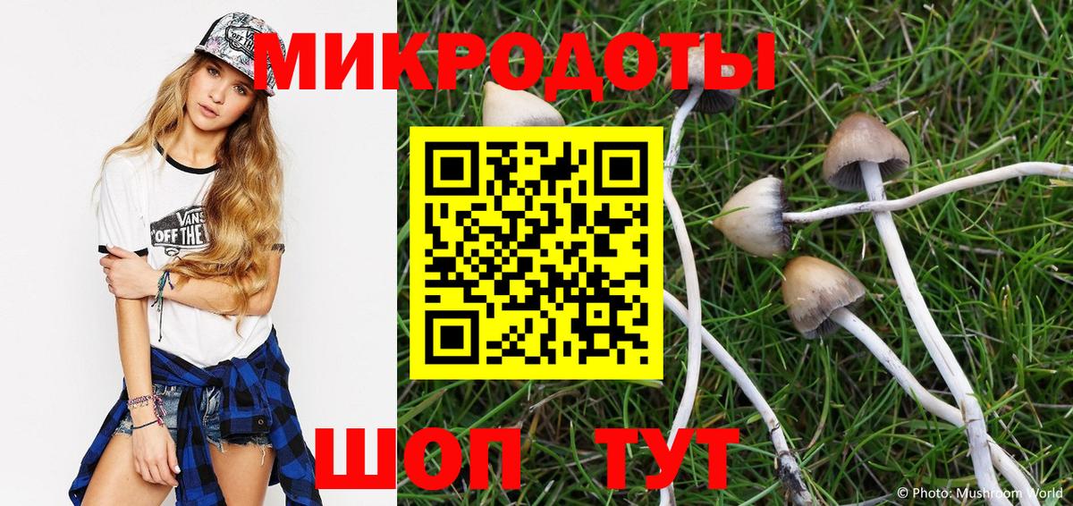 где купить наркоту  Вход с VPN  Камень-на-Оби  Псилоцибиновые грибы Cubensis 