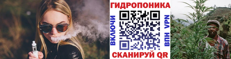 Конопля Bruce Banner  наркота  omg как зайти  Камень-на-Оби 