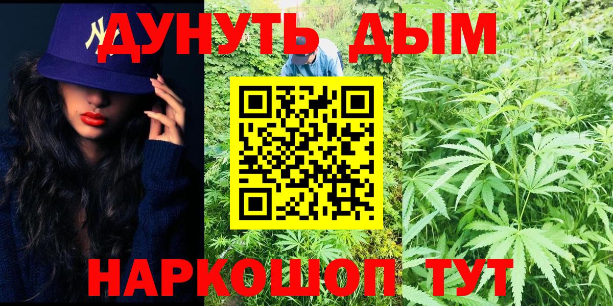 Конопля AK-47 Камень-на-Оби